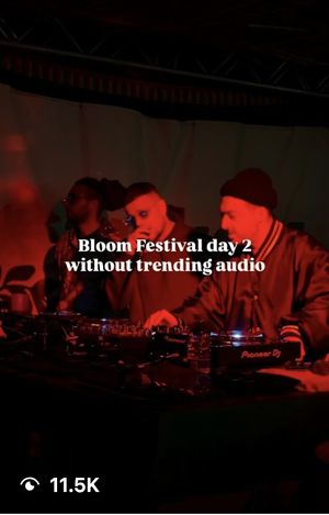 Bloom Festival Instagram content created by OKAYVIRAL in Malta