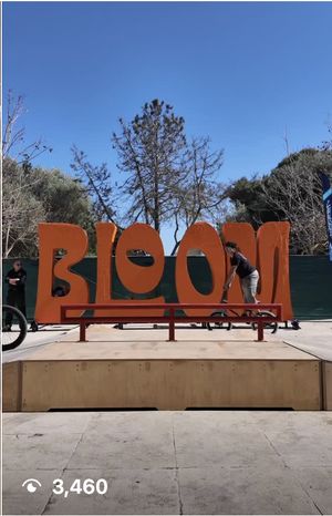 Bloom Festival Instagram content created by OKAYVIRAL in Malta